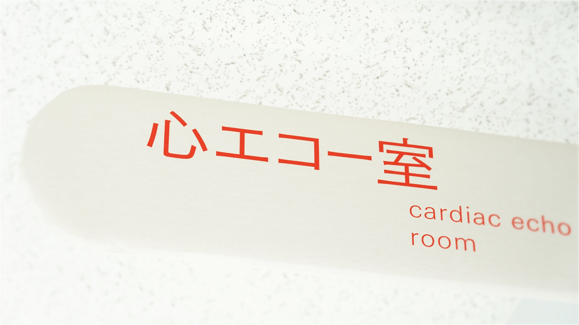 循環器内科で受けられるより詳細な検査とは